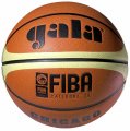 chicago-fiba.jpg