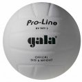 volejball-pro-bily_6od37.jpg