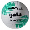 volejball-school-colour.jpg