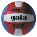 volejball-training.jpg